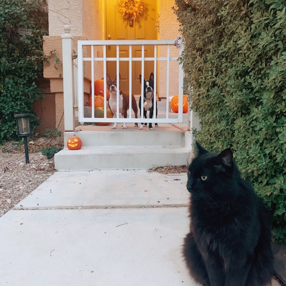 Meet your Posher, Kara - Picture 2 of 16